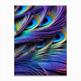 Peacock Feathers 4 Canvas Print