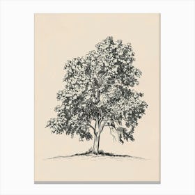Elm Tree Minimalistic Drawing 1 Canvas Print