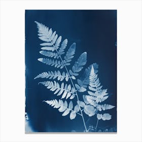 Fern II Canvas Print