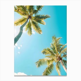 Palm Trees In The Sun Canvas Print