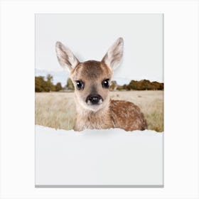 Fawn Torn Paper Canvas Print