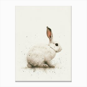 Florida White Rabbit Nursery Illustration 1 Canvas Print