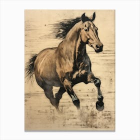 Horse Galloping Canvas Print