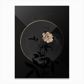 Shadowy Vintage White Rose of York Botanical in Black and Gold n.0154 Canvas Print