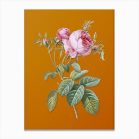 Vintage Pink Cabbage Rose de Mai Botanical on Sunset Orange n.0285 Canvas Print