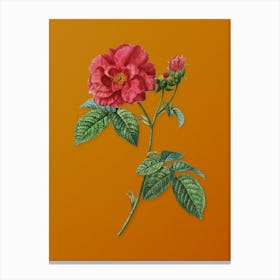 Vintage Apothecary Rose Botanical on Sunset Orange Canvas Print