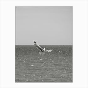 Seagull Flying Over The Ocean Canvas Print