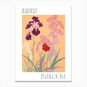 Irises In Bloom Flowers Bold Illustration 3 Canvas Print