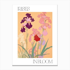 Irises In Bloom Flowers Bold Illustration 3 Leinwandbilder