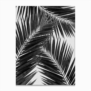Palm Leaf Black & White III Canvas Print