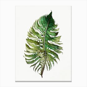 Scaly Cloak Fern Watercolour Canvas Print