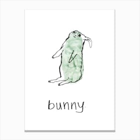 Bunny 1 Canvas Print