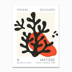 H Matisse 13 Canvas Print