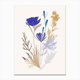 Chicory Spices And Herbs Minimal Line Drawing 1 Canvas Print