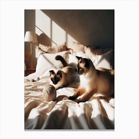 Siamese Cats On Bed Canvas Print