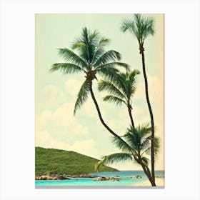 Magens Bay Beach Us Virgin Islands Vintage Canvas Print