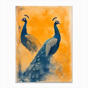 Two Orange & Blue Vintage Peacocks Canvas Print