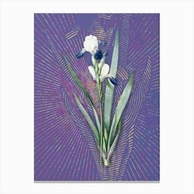 Vintage Tall Bearded Iris Botanical Illustration on Veri Peri n.0124 Canvas Print
