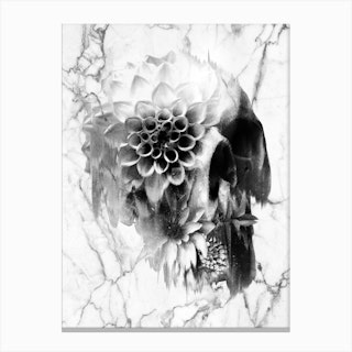 Decay Skull Marble Canvas Print