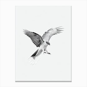 Hawk B&W Pencil Drawing 3 Bird Canvas Print
