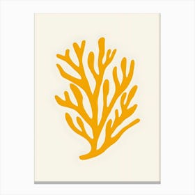 Coral 3 Canvas Print