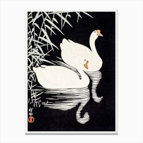 White Chinese Geese Swimming By Reeds, Ohara Koson Canvas Print