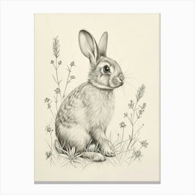 French Lop Rabbit Drawing 2 Canvas Print