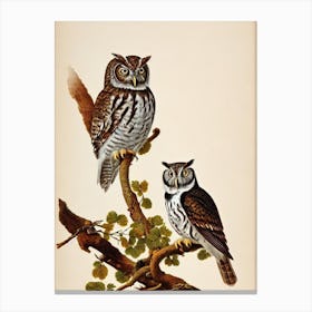 Eastern Screech Owl James Audubon Vintage Style Bird Canvas Print
