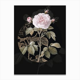 Vintage Botanical Vintage Rosa Alba on Circle Black on Black n.0084 Canvas Print