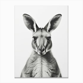 Portrait Känguru schwarz-weiß, Minimalistische Fotografie Illustration Canvas Print