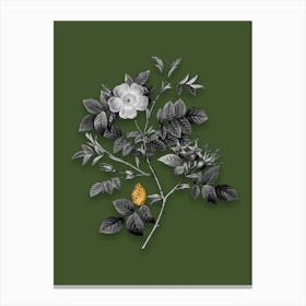 Vintage Malmedy Rose Black and White Gold Leaf Floral Art on Olive Green n.0220 Canvas Print
