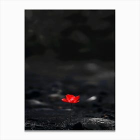 Single Red Flower 18 Canvas Print