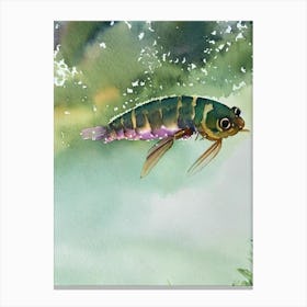 Emperor Shrimp Storybook Watercolour Canvas Print