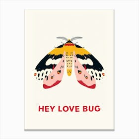 Hey Love Bug Poster 9 Canvas Print