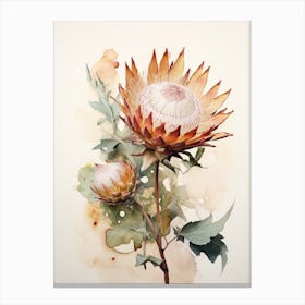 Pressed Flower Botanical Art Protea 1 Canvas Print