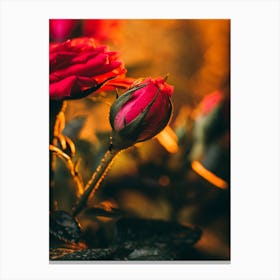 Poster Flower Art Print 14 Canvas Print