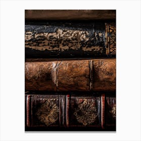 Old Books 10 Canvas Print