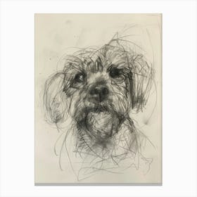 Dandie Dinmont Terrier Dog Charcoal Line 1 Canvas Print