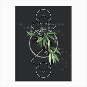 Vintage Olive Tree Branch Botanical with Geometric Line Motif and Dot Pattern n.0384 Canvas Print