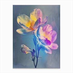 Iridescent Flower Freesia 1 Canvas Print