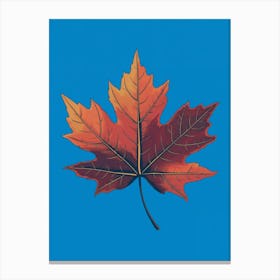 Maple Leaf Canvas Print