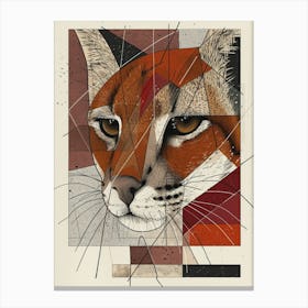 Lincoln Lynx Canvas Print