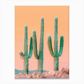 Cactus 532 Canvas Print