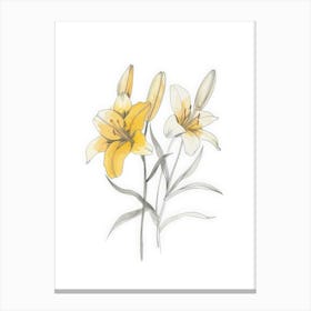 Yellow Lily 4 Canvas Print