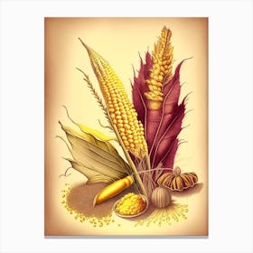 Corn Silk Spices And Herbs Retro Drawing 2 Canvas Print