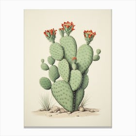 Vintage Cactus Illustration Nopal Cactus Canvas Print