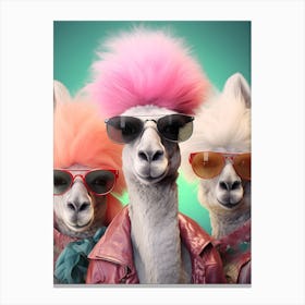 Three Lamas With Pink Hair Canvas Print