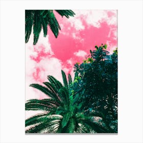 Pink Sky With Palm Trees Canvas Print