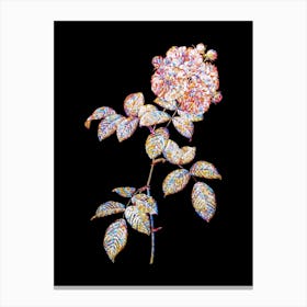 Stained Glass Seven Sisters Roses Mosaic Botanical Illustration on Black Canvas Print