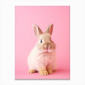 Cute Rabbit On Pink Background 1 Canvas Print